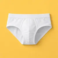 Briefs