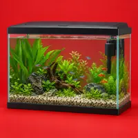 Aquariums