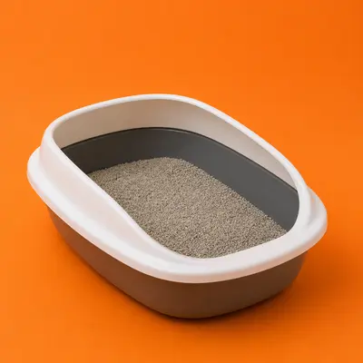 Cat Litter