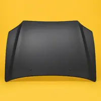 Car Hoods & Bonnets