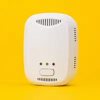 Gas Detectors