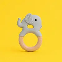 Teething Toys