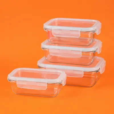 Recipiente depozitare alimente