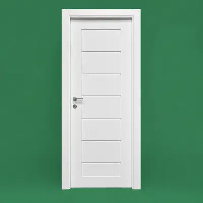 Interior Doors