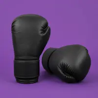 Boxing & Martial Arts