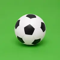 Footballs / Soccer Balls