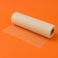 Reinforcing Mesh / Fiberglass