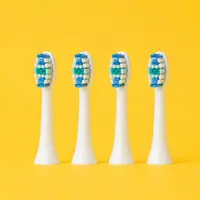 Replacement Brush Heads