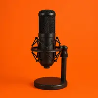 Professional Audio Equipment