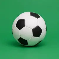 Team Sports