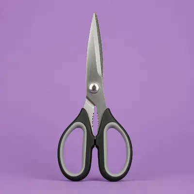 Kitchen Scissors
