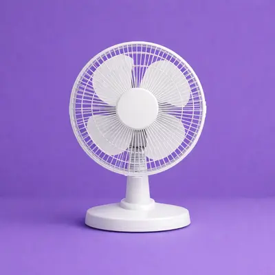 Desk Fans