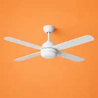 Ceiling Fans