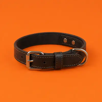 Collars