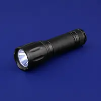 Flashlights & Outdoor Lighting