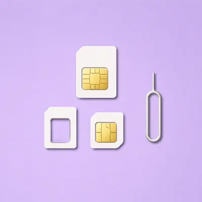 Carduri SIM și Adaptoare SIM