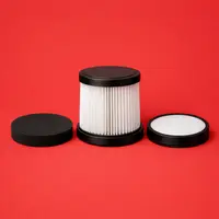 Filtre de aspirator (schimb)