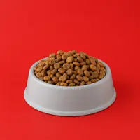 Dry Cat Food