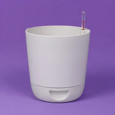 Self-Watering Pots