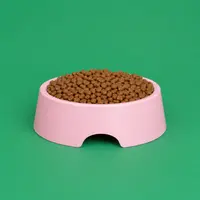 Kitten Food