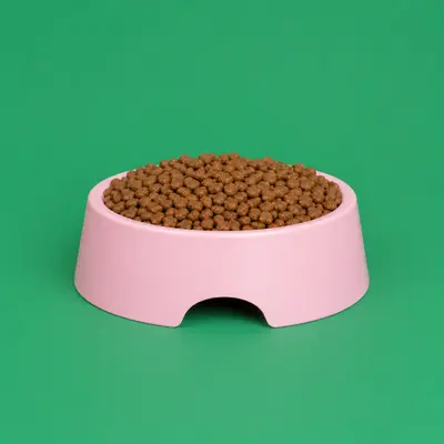 Kitten Food
