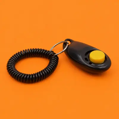 Dog Training (Clicker, Treats)