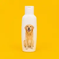 Dog Shampoo