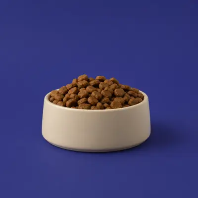 Dog Food