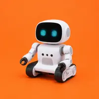 Educational / Programmable Robots