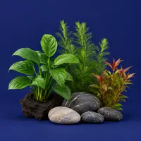 Aquarium Décor (Plants, Rocks)