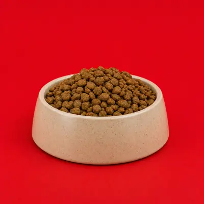 Cat Food