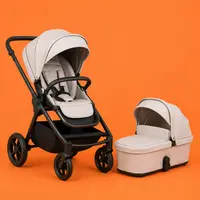 2-in-1 Strollers