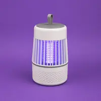 Insect Traps