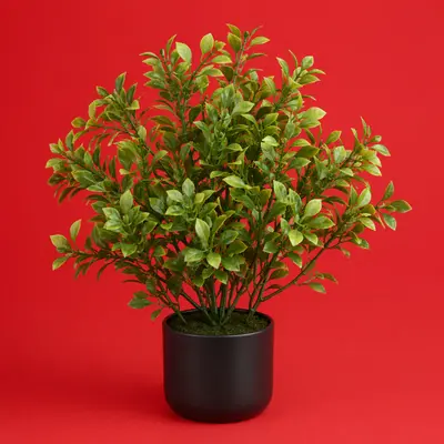 Plante artificiale