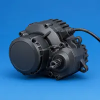 Electric Bike Motors