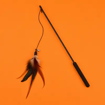 Cat Teaser Wands