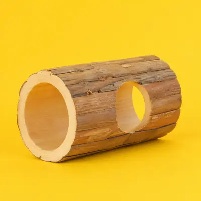 Accesorii (roți, tuneluri, hamac)