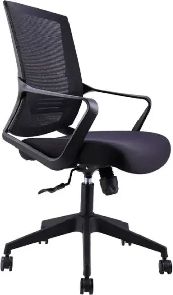 Polo F2137 Office Chair, Ergonomic Mesh Back and Fabric Seat, Gas Lift Height Adjustment, 5-Star Base with Casters, 150 kg Max Capacity, Black
