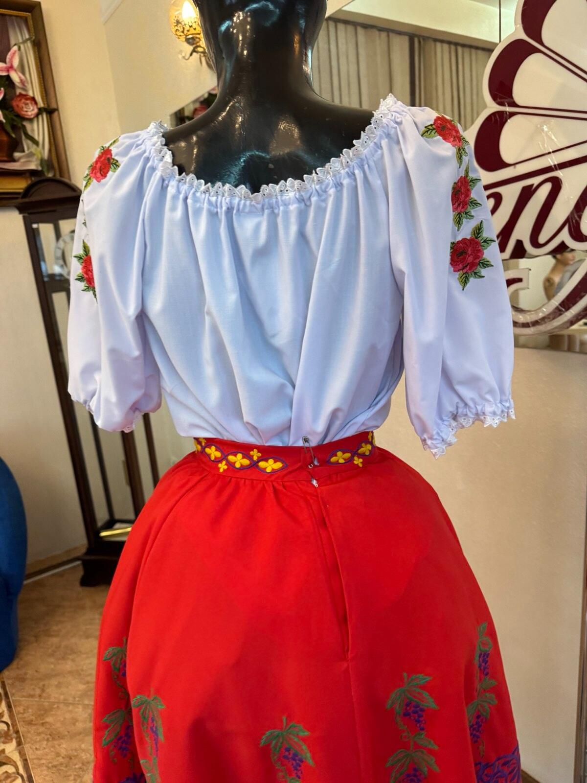 Benefis Moldovan National Traditional Skirt J 0363(4931) for Women, Red Natural Material with Grape and Vine Embroidery in Green, Purple, Yellow, and Blue