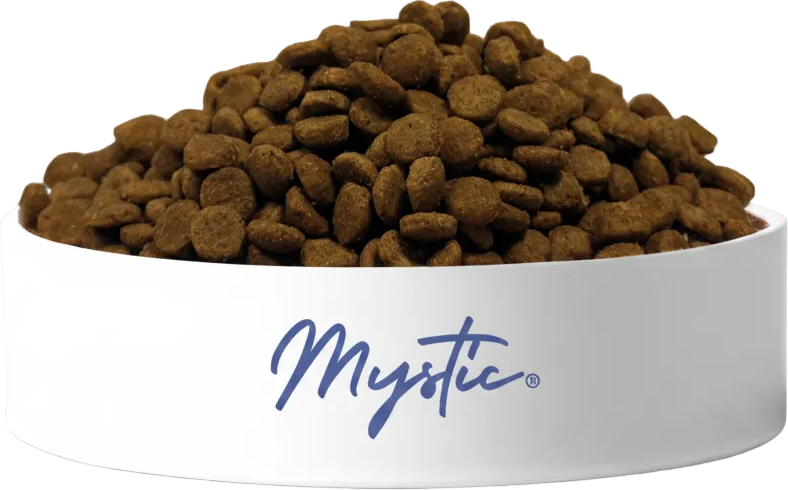 Mystic Mini Adult Dog Food Lamb and Rice, Super Premium Low Grain, FMIS Fresh Meat Technology, Small Breed Kibble, 15 kg