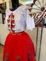 Benefis Moldovan National Traditional Skirt J 0363(4931) for Women, Red Natural Material with Grape and Vine Embroidery in Green, Purple, Yellow, and Blue