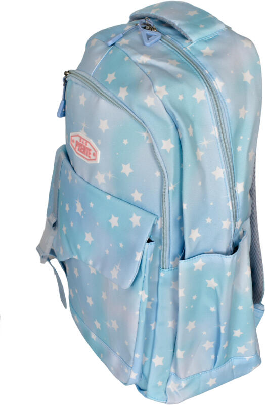 PXRTE 2341R School Backpack 25L, 15-inch Laptop Sleeve, 2 Compartments, Anatomic Back, Water-Repellent Polyester, Reflective Strips