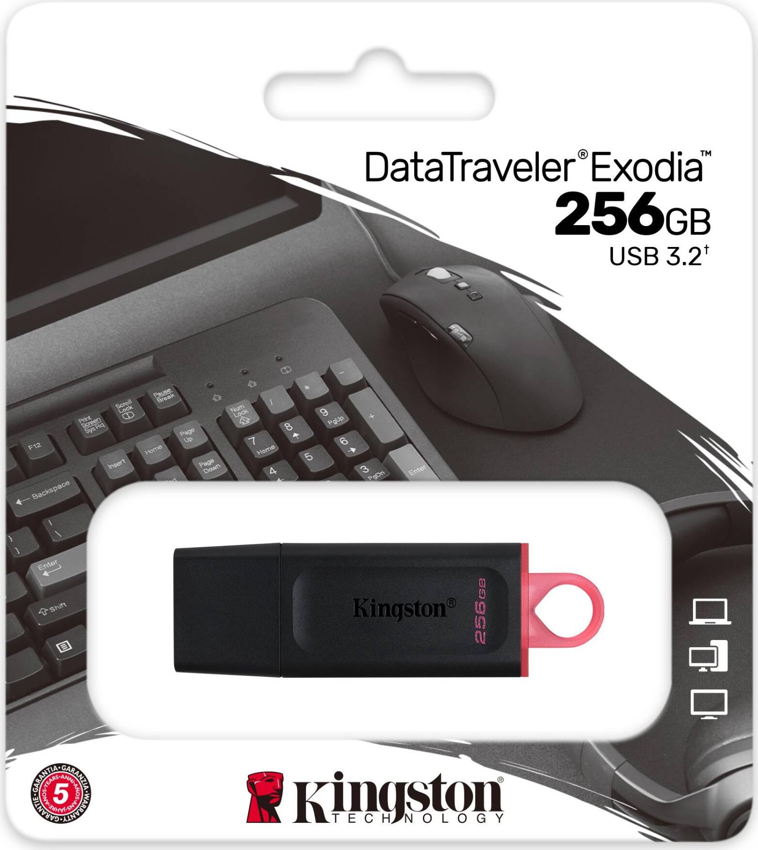 Kingston DataTraveler Exodia DTX USB 3.2 Gen 1 Flash Drive 64GB, Portable Storage with Protective Cap and Teal Keyring Loop Green 256 GB