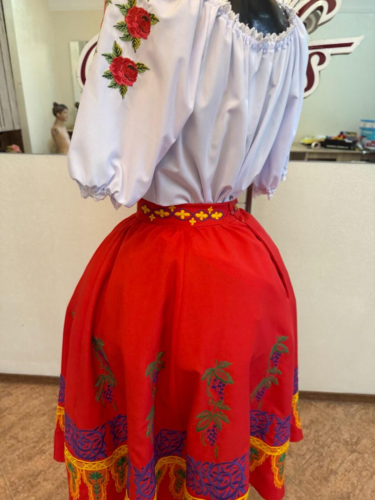 Benefis Moldovan National Traditional Skirt J 0363(4931) for Women, Red Natural Material with Grape and Vine Embroidery in Green, Purple, Yellow, and Blue