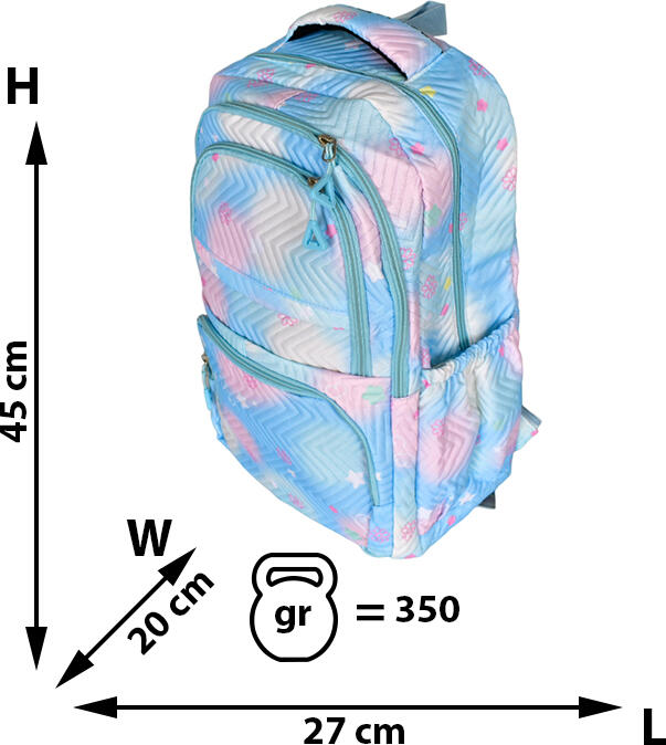 Rucsac Școlar 1003R, Poliester Rezistent, 30x40x15cm, Bretele Reglabile, Compartimente Interioare, Multicolor