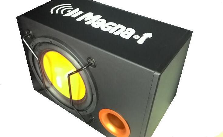 MAGNA-T GT-1202 Passive Car Subwoofer, 300mm Diameter, 100mm Voice Coil, 40 OZ Magnet, 15.5kg High-Performance Bass Speaker for External Amplifier