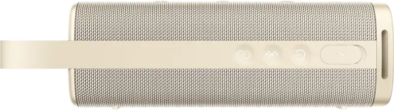 Boxă portabilă Xiaomi Sound Outdoor, Auriu