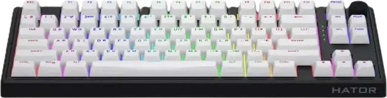 Tastatură Mecanică HATOR Skyfall 80 Wireless, TKL Gasket Mount, Switchuri HATOR Aurum Lemon Lineare, Iluminare RGB și Laterale, Conectivitate Tri-mod, Hot-swap