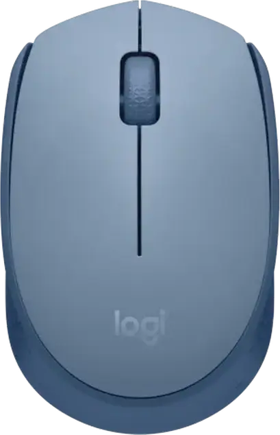 Mouse Logitech M171, Albastru | Gri