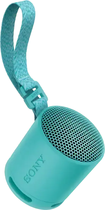 Sony SRS-XB100 Portable Wireless Bluetooth Speaker, Light Gray, IP67 Water & Dust Resistant, 16h Battery Life, USB-C, Stereo Pair Support, 2.5W Output
